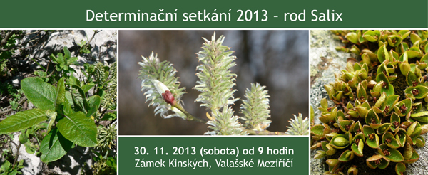 Determinační setkání 2013