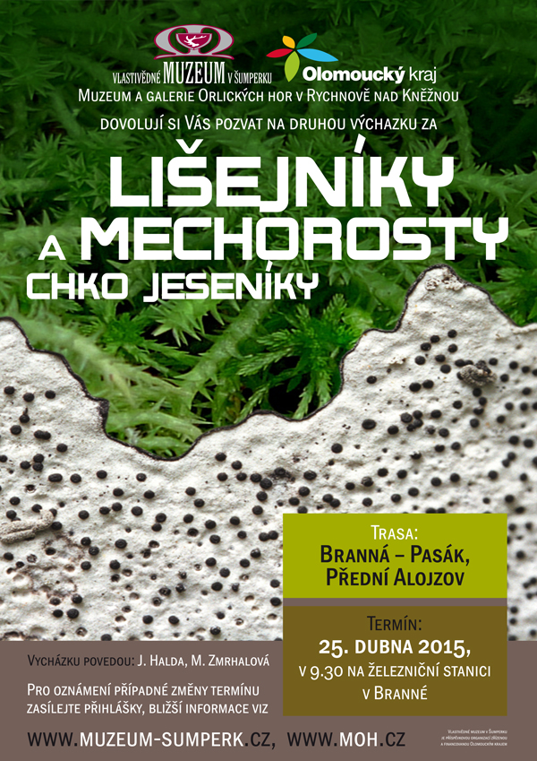 lisejnikychkojeseniky