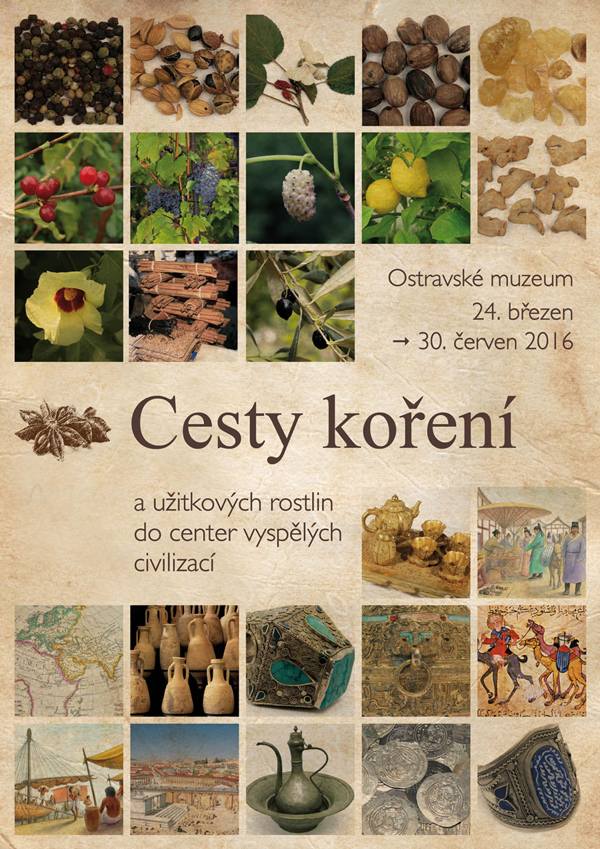 cesty-koreni